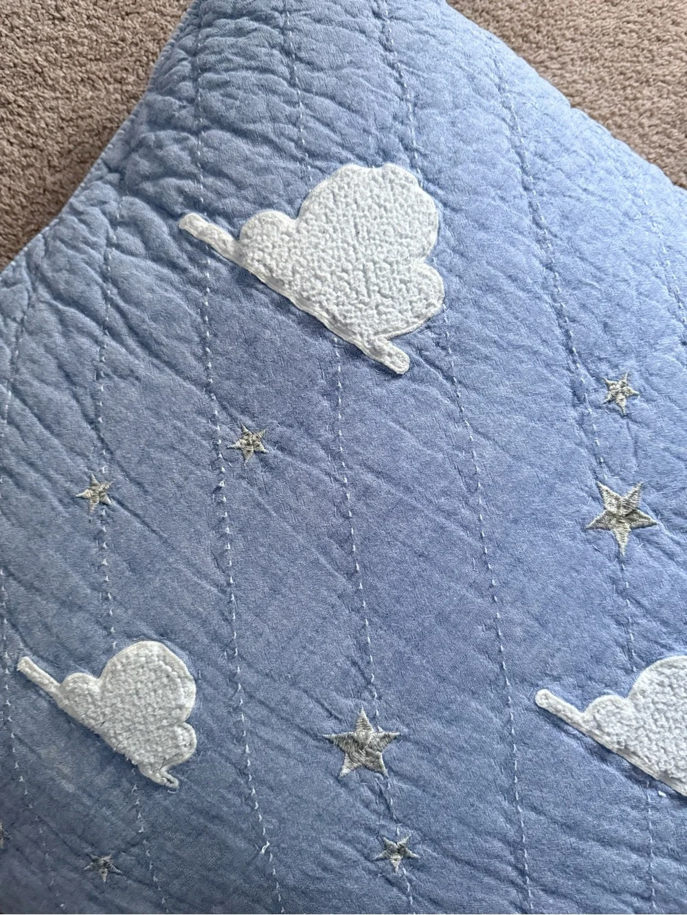 Pottery Barn Kids Toy Story Collectoon Embroidered Euro Sham Pillowcase